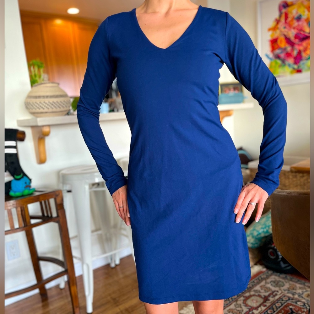 Susana Monaco, fitted, long sleeve dress